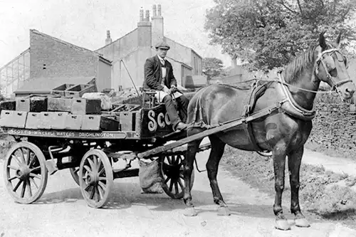 dray horse and cart illustrating the history of drayage